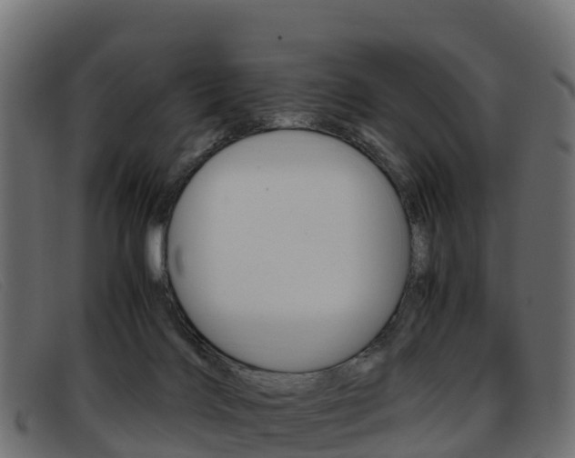 X0000093370028200710111335