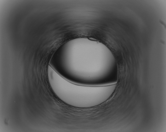 X0000093370029200710111335