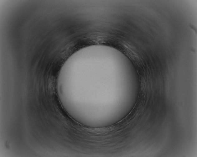 X0000093370030200710111335