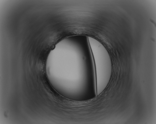 X0000093370031200710111335