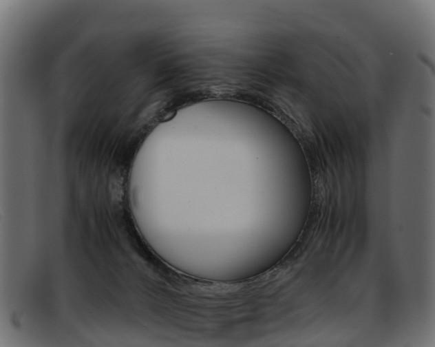 X0000093370032200710111335