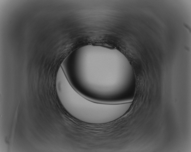 X0000093370033200710111335