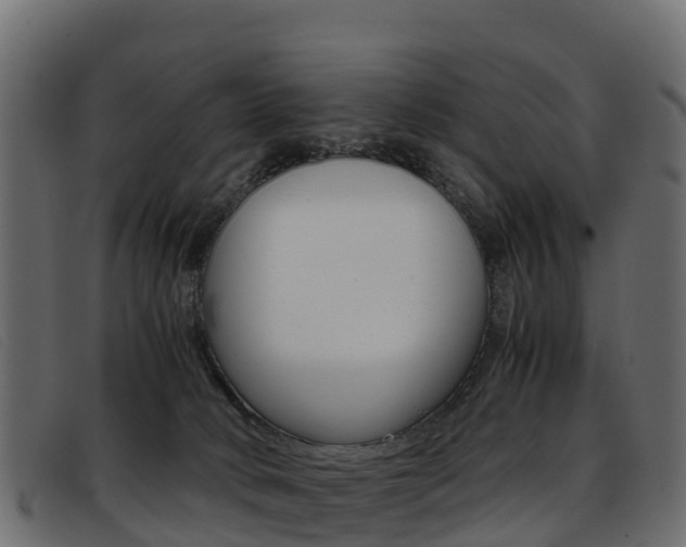 X0000093370034200710111335