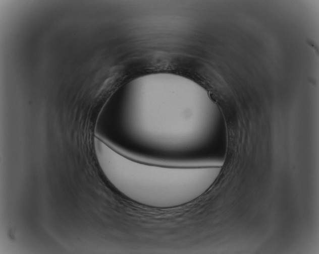 X0000093370035200710111335