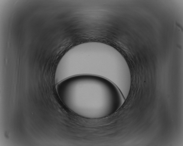 X0000093370039200710111334