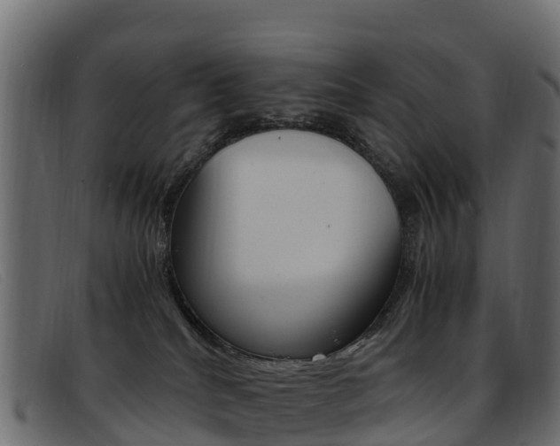 X0000093370040200710111334