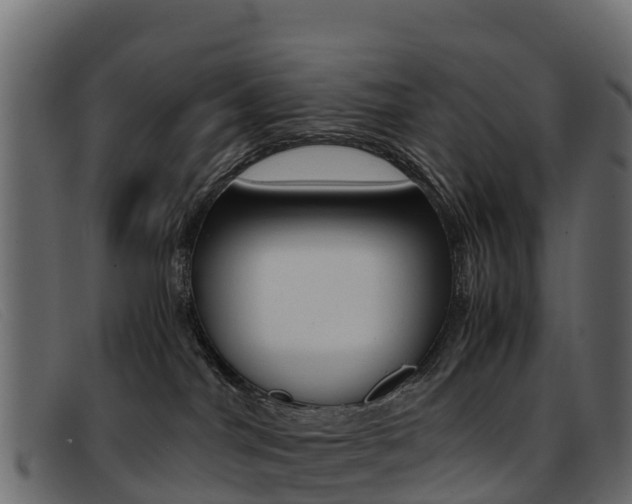 X0000093370044200710111334