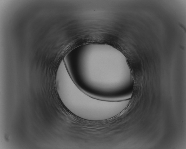 X0000093370045200710111334