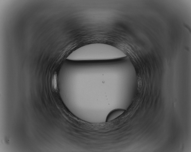X0000093370046200710111334
