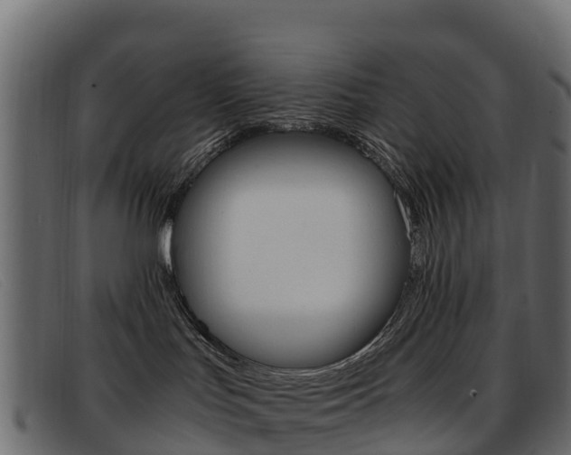 X0000093370047200710111334