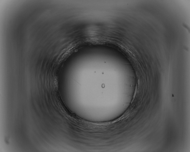 X0000093370048200710111334