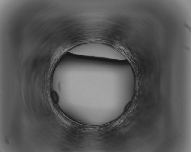 X0000093370049200710111334