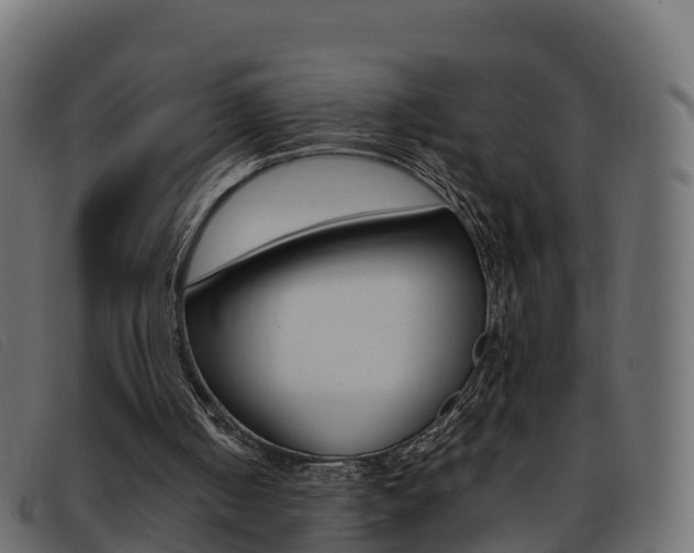 X0000093370050200710111334