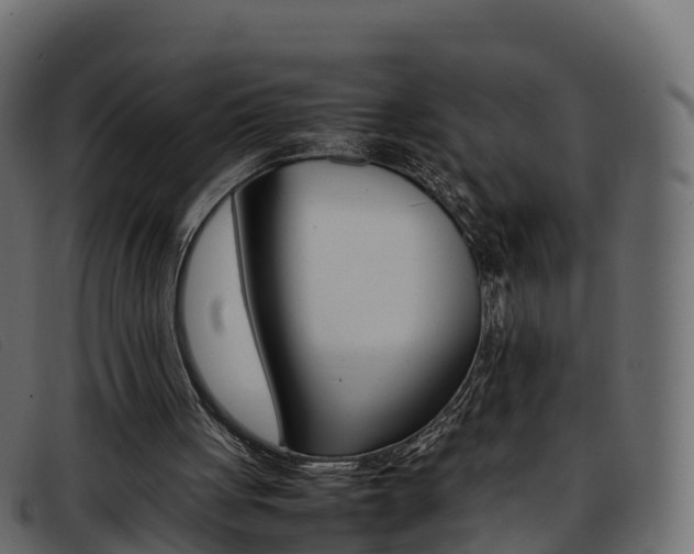 X0000093370051200710111334