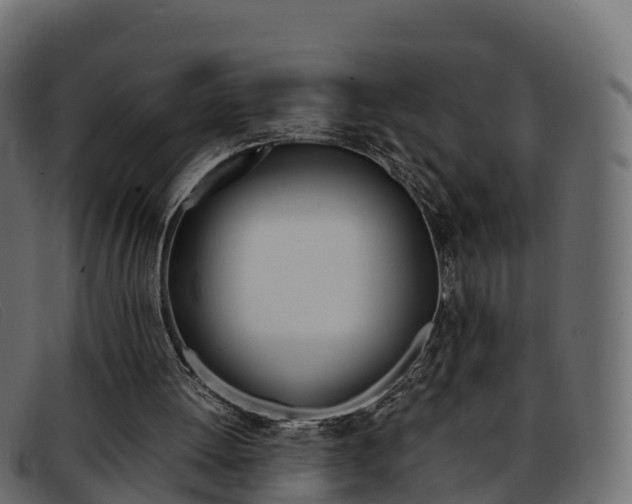 X0000093370052200710111334