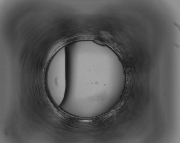 X0000093370053200710111334