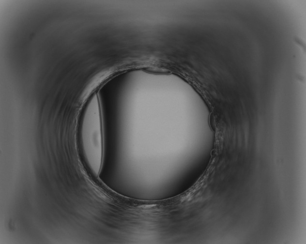 X0000093370054200710111334