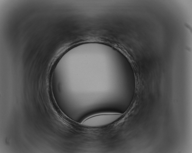X0000093370055200710111334