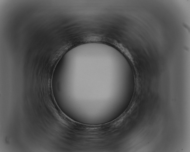 X0000093370057200710111334