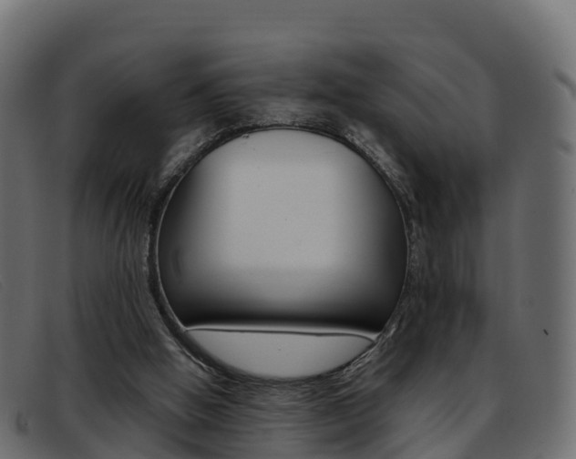 X0000093370058200710111334