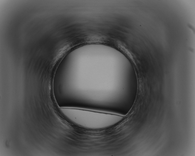 X0000093370059200710111334