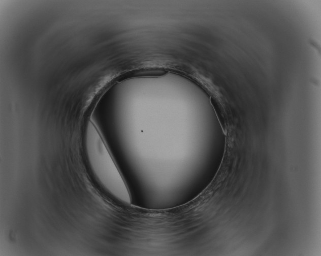 X0000093370060200710111334