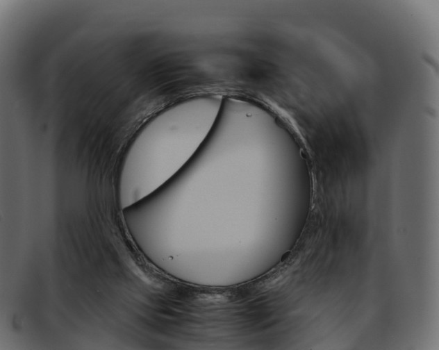 X0000093370061200710111334