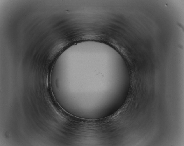 X0000093370062200710111334