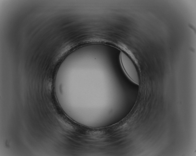 X0000093370063200710111334
