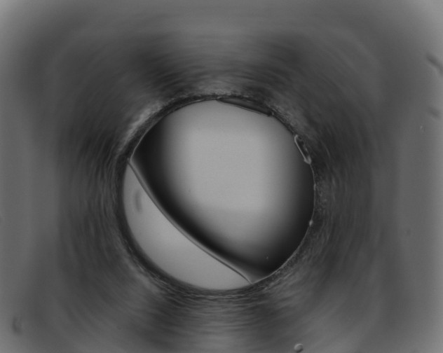 X0000093370064200710111334