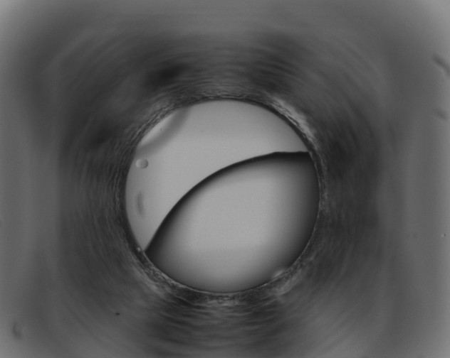 X0000093370065200710111334