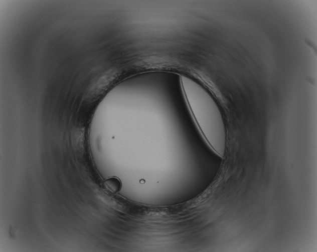 X0000093370066200710111334