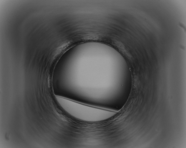 X0000093370068200710111334
