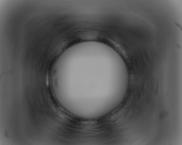 X0000093370069200710111334