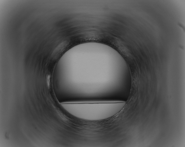 X0000093370070200710111334