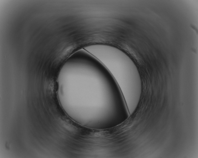 X0000093370072200710111334