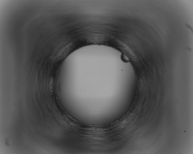 X0000093370073200710111334