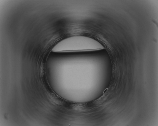 X0000093370074200710111334