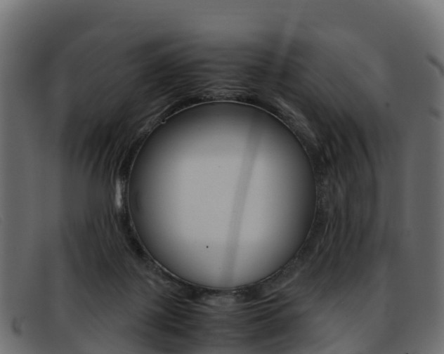 X0000093370075200710111334
