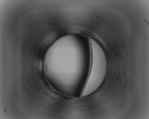 X0000093370076200710111334