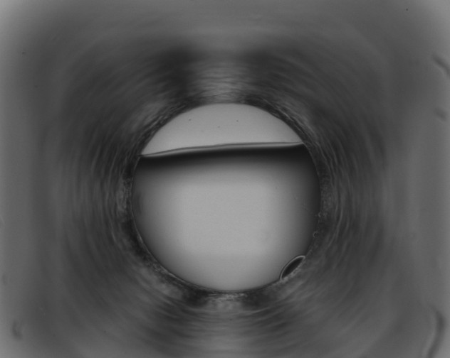 X0000093370078200710111334