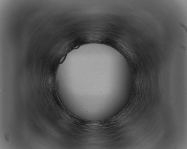 X0000093370079200710111334
