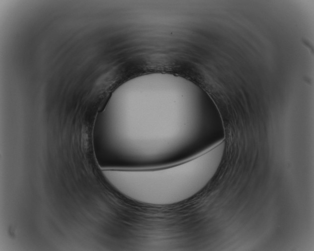 X0000093370080200710111334