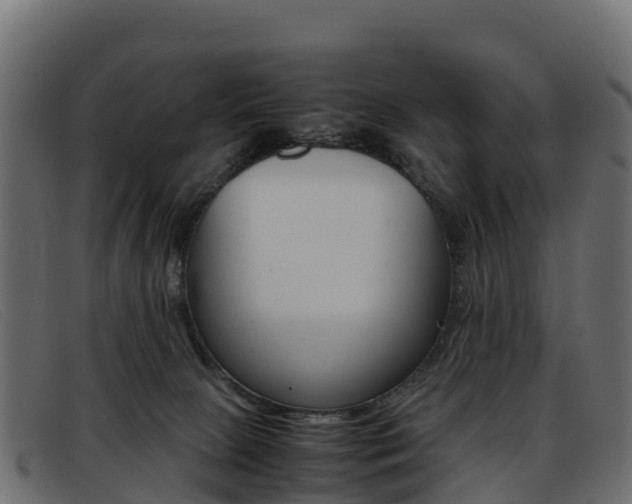 X0000093370081200710111334
