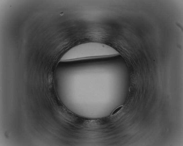 X0000093370082200710111334