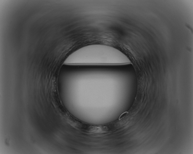 X0000093370083200710111334