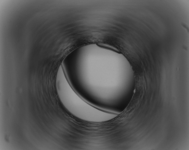 X0000093370084200710111334