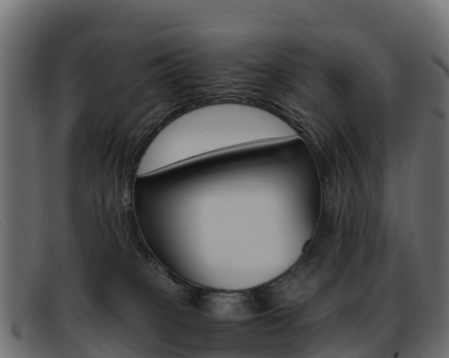 X0000093370085200710111334