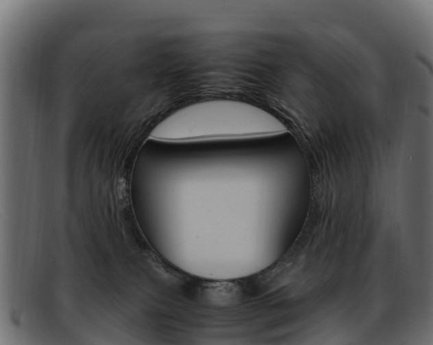 X0000093370087200710111334