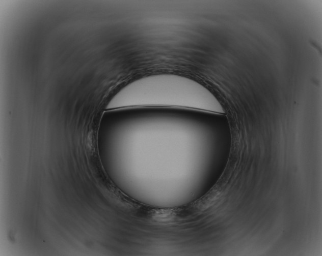X0000093370088200710111334